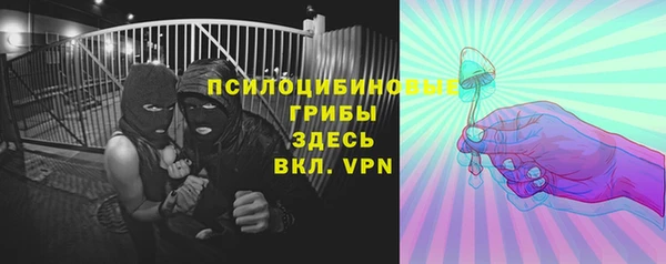 спиды Алексин