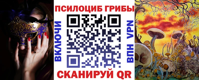 даркнет сайт  Прохладный  Псилоцибиновые грибы Magic Shrooms 